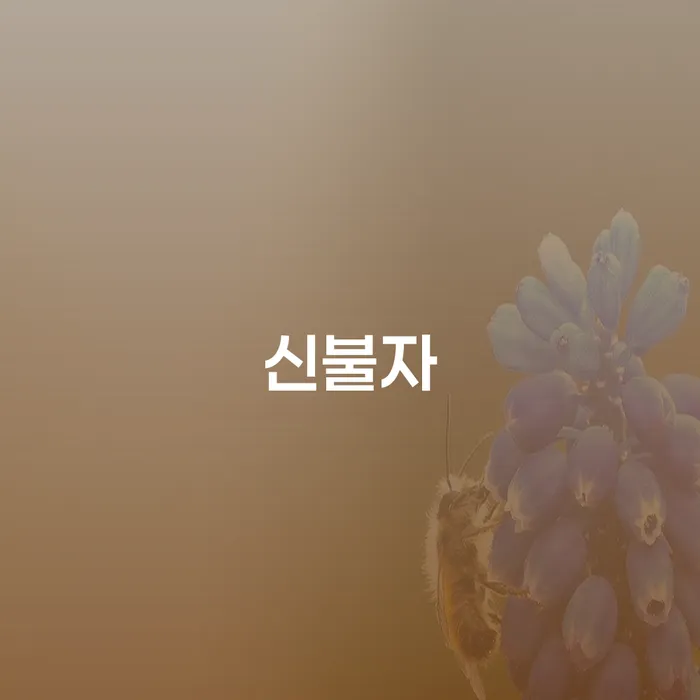 창원개인파산 개인회생 관련정보