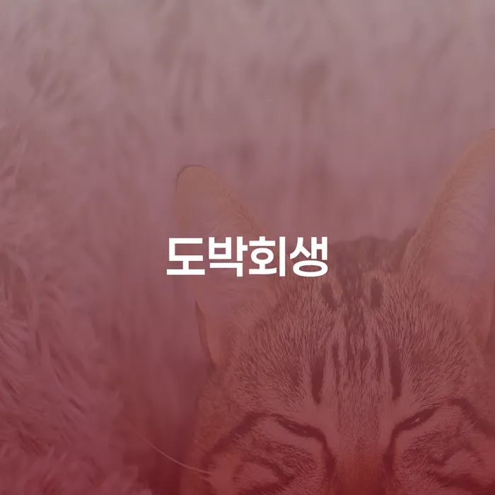구상권개인회생 개인회생 처리방법 살고있는