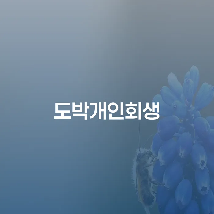 양산시 개인회생개인파산 채무 효과적인 해결방법 추천하는 곳