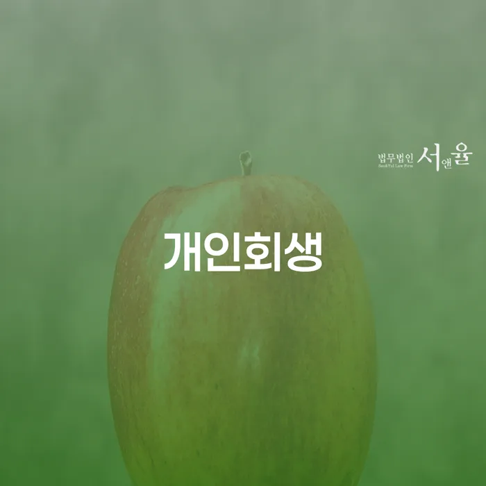 홍천군 신용불량 대출 받은 돈채무조정 신청조차