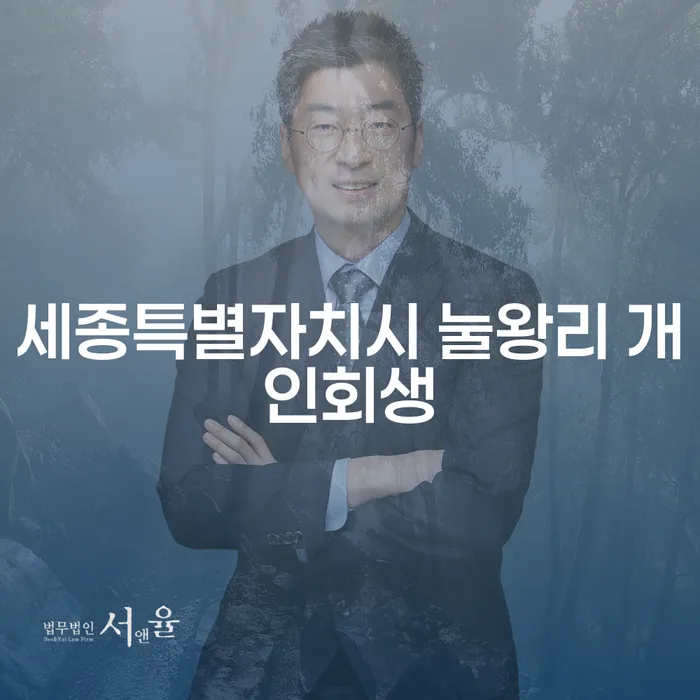 왜 세종특별자치시 눌왕리에서 개인회생을 고려해야 할까요?