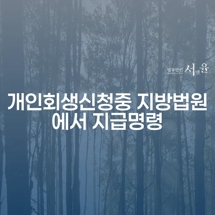 개인회생신청 중 지방법원에서 지급명령을 받는 경우 어떻게 해야 할까요?